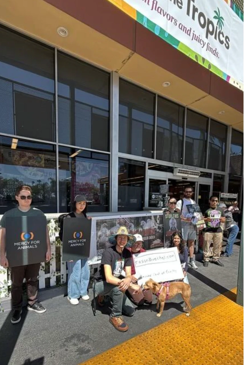 Activists holding Mercy For Animals signs outside a grocery store